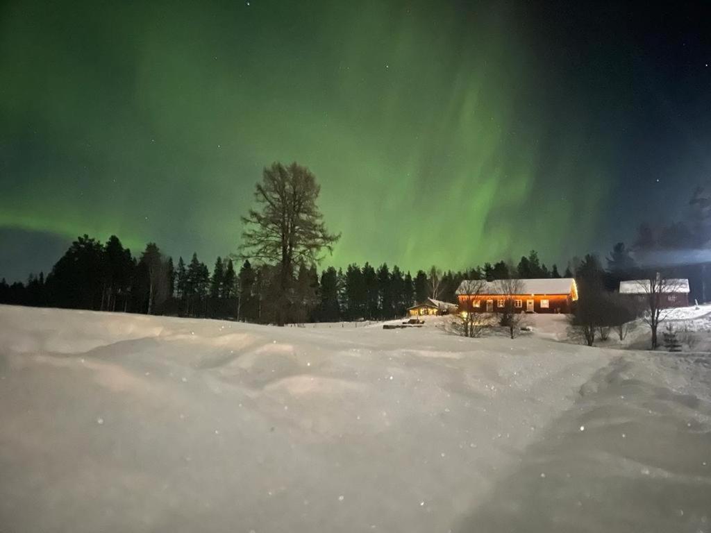 Projekt Schwedenalm Appartement Furudal Buitenkant foto